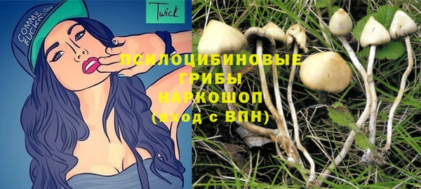 бутират Тобольск