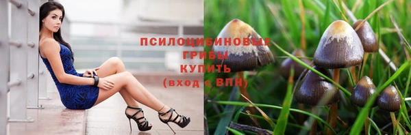 стаф Горнозаводск