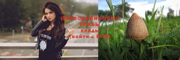 стаф Горнозаводск