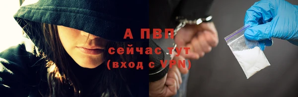 стаф Горнозаводск