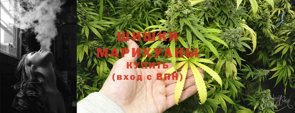 2c-b Горно-Алтайск