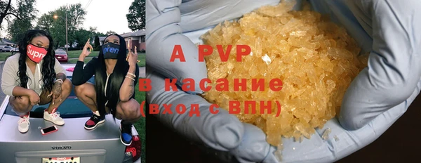 стаф Горнозаводск