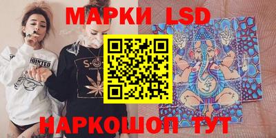 гашик Донской