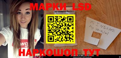гашик Донской