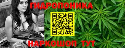 каннабис Дубна