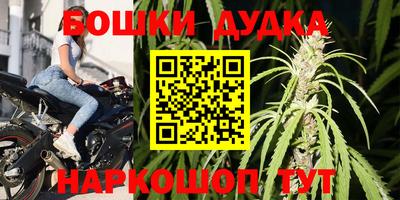 гашик Донской