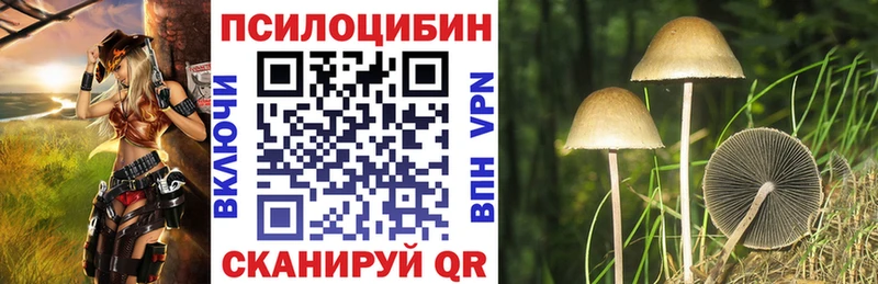 Псилоцибиновые грибы мухоморы Норильск