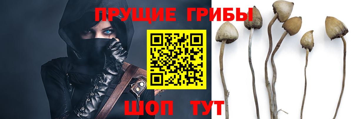 Псилоцибиновые грибы прущие грибы  Вход с VPN  Норильск 
